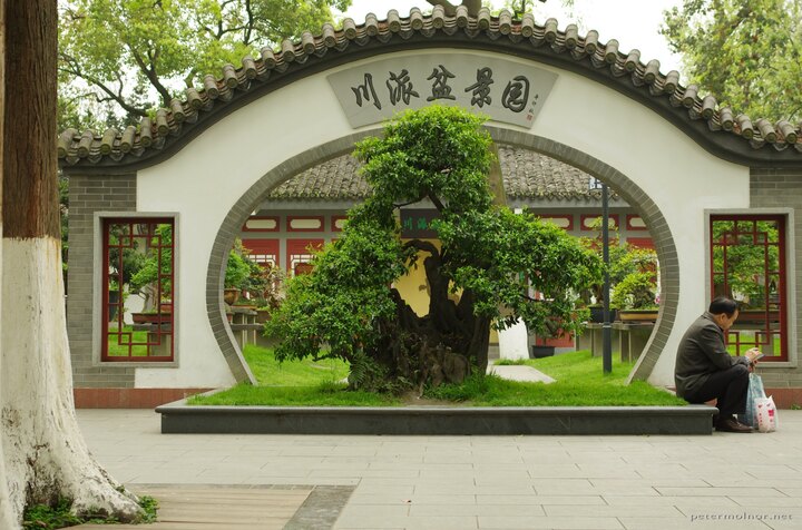 One of the beautiful moon gates in Baihuatan Park which is the
entrance to the bonsai garden