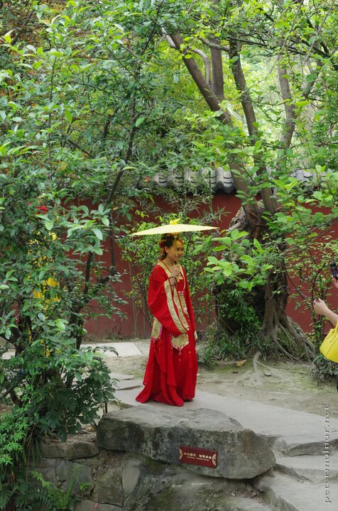 It is quite usual to bump into photographers and their models in any
of the parks of Chendgu, but the Baihuatan Park seemed to have a
lot