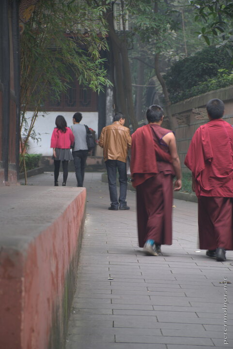 Monks in the Qingyang Taoist Temple in
Chengdu