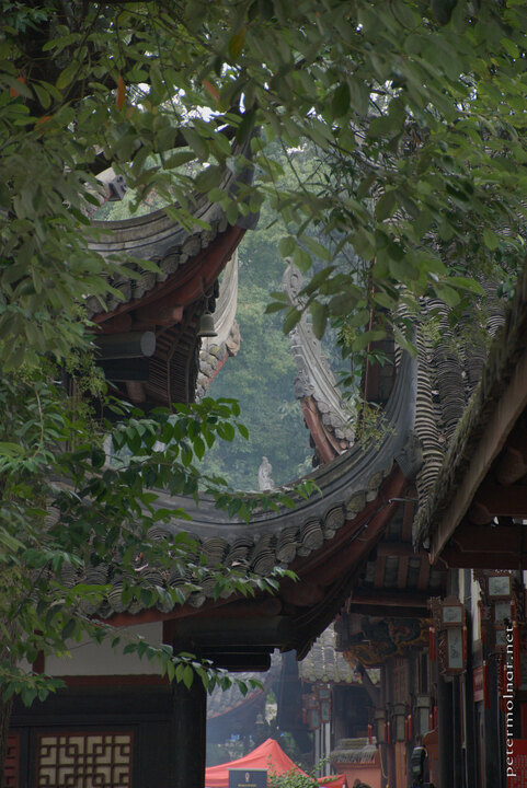 Trees and roofs of the Wenshu Monastery in
Chengdu