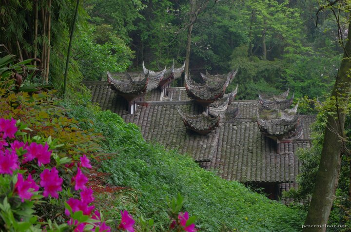 Flowers and ancient roofs in Dujiangyan