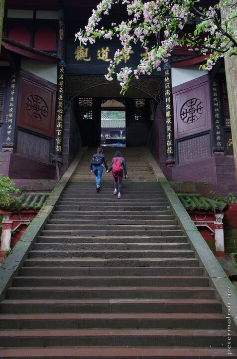 Stairs leading into a monastery on mount
Qingcheng