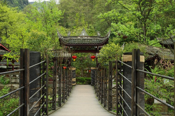 Rope bridge at the rear peak of Mount
Qingcheng