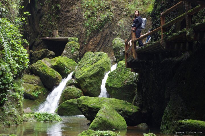 ... but it was full of small waterfalls, streams, and brooks, and it
was quiet and peaceful. And it's \~45 minutes from
Chengdu...