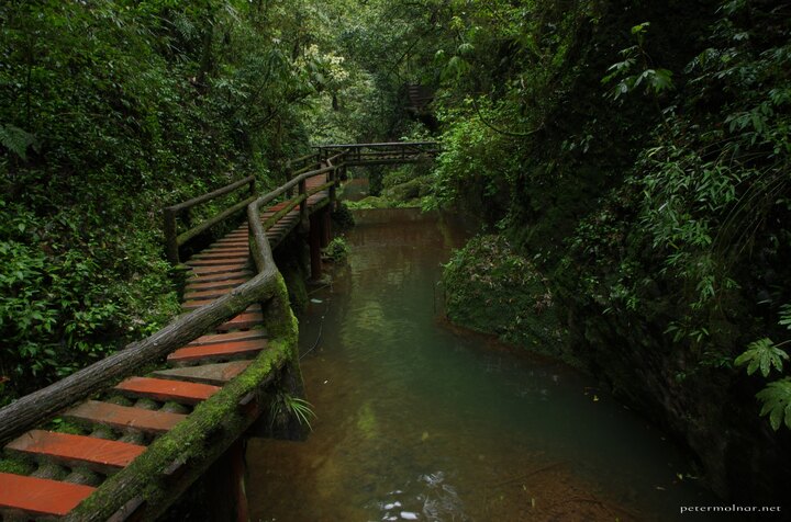 ...paths above the ponds...