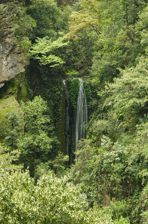 Emei Mountain has countless waterfalls, the air is heavy, but clean,
and the noises of the forest are distant and unfamiliar for someone from
Europe.