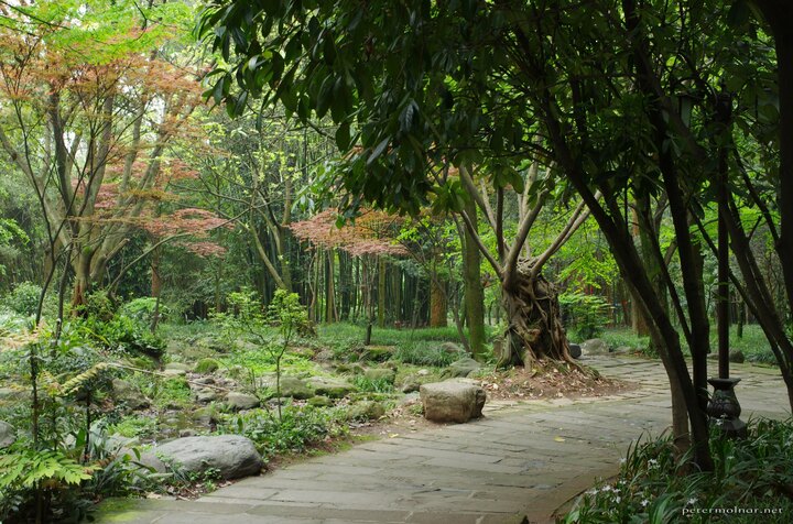 Garden at the feet of Mount Emei