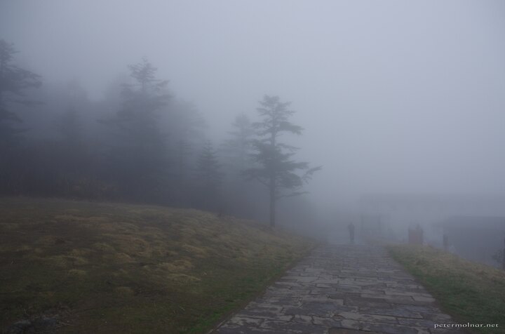 Thich fog blocking the view at Mount Emei