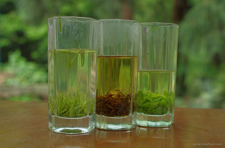 Tea from buds, red tea, and tea from baby leaves