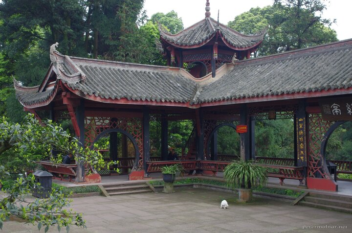 A corner of the Wannian Temple with a white cat