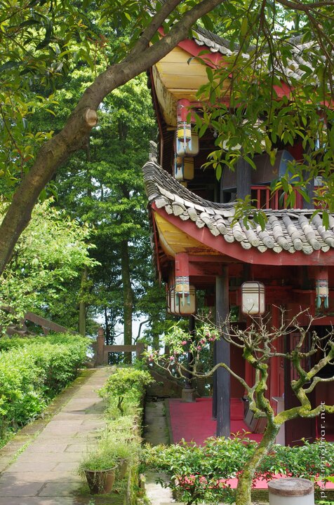 Gorgeous gardens and flowers in the Wannian
Temple