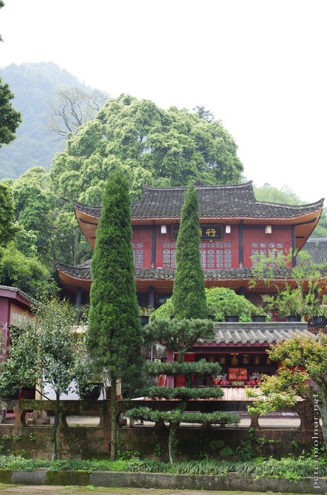 Beautifully cut trees and nicely preserved buildings in the Wannian
Temple