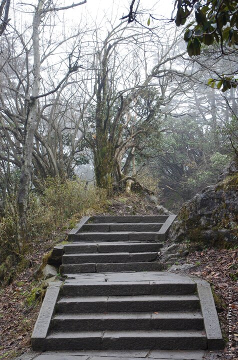 The beginning of the endless stairs at Mount Emei