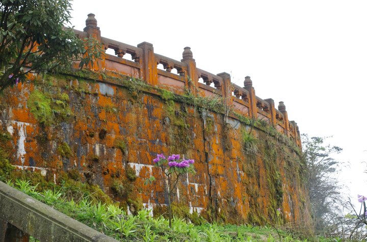 The outer wall of the monastery, covered in various lichens and
fungi