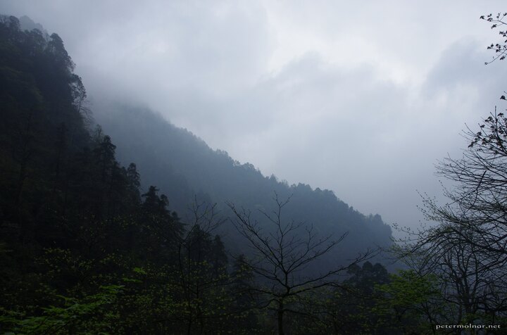 View from a path at Emeishan