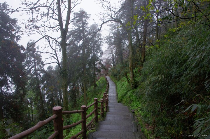 Endless stairs going down from Mount Emei