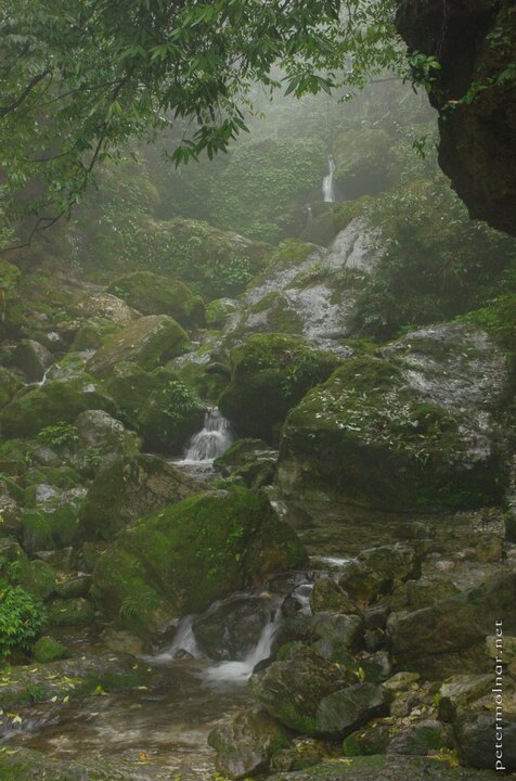 The extreme humidity creates a reflection on everything, allowing a
lot f dreamy pictures to be taken