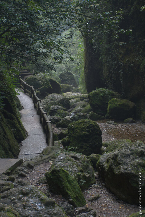 Mount Qingcheng footpath.