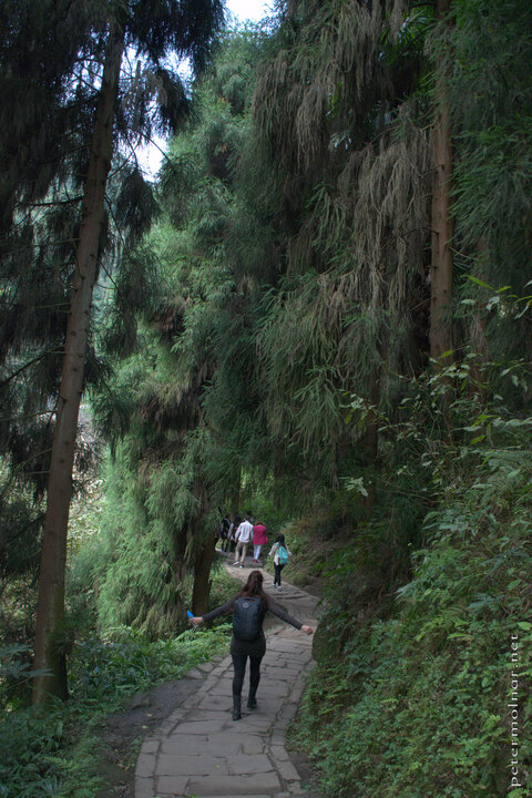 Road up to Mount Qingcheng.