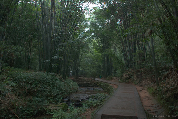 Shunan Zuhai - Shunan Bamboo Sea