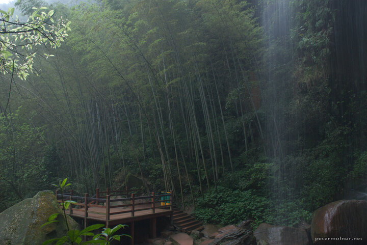 Flying Waterfall in the Bamboo Sea