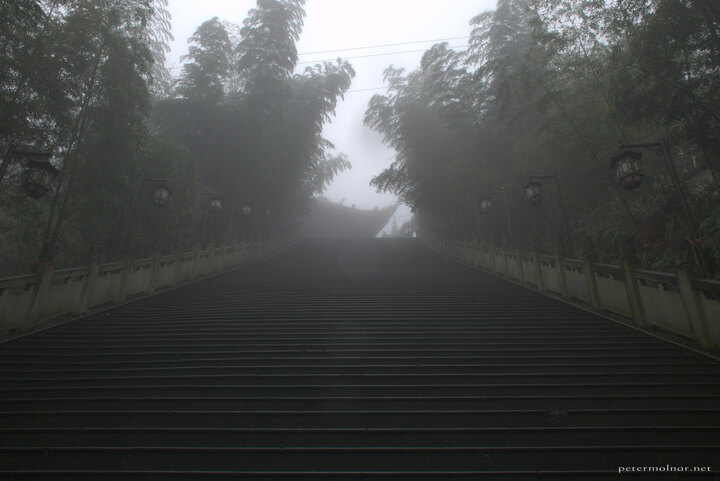 Temple in the Bamboo Sea