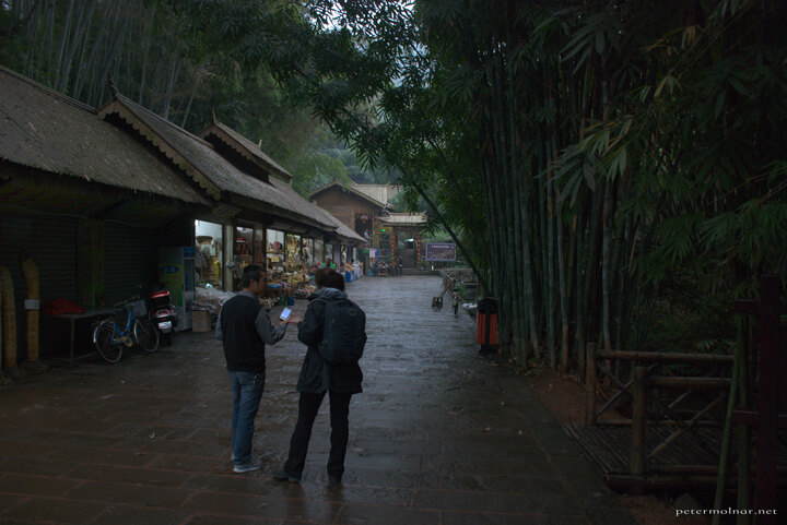 Pavillions in the Bamboo Sea