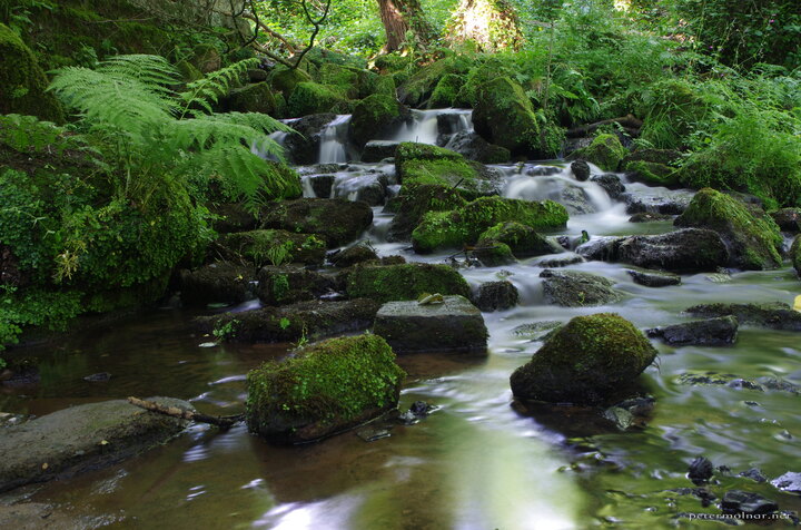 Bentley Brook