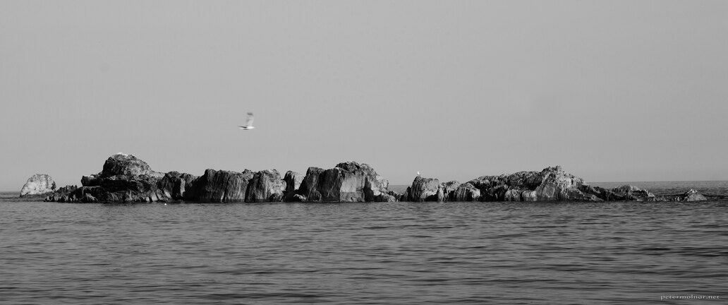 Birds, Rocks, Sea