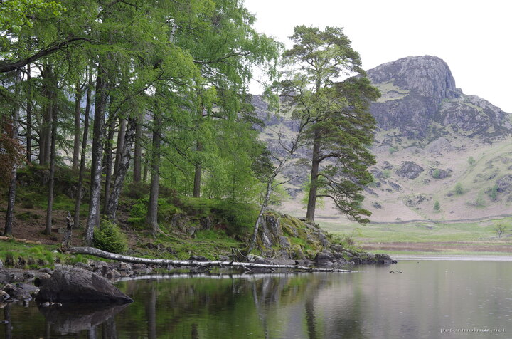 Blae Tarn