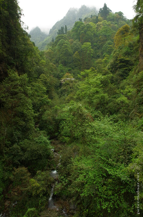 Greens of Emei 2