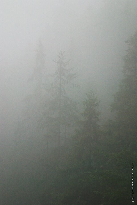 Slovenský raj - Mist after rain