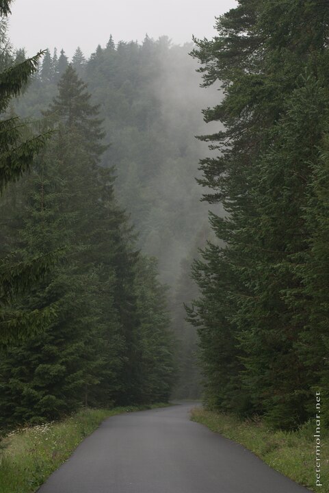 Slovenský raj - Road in the mountains