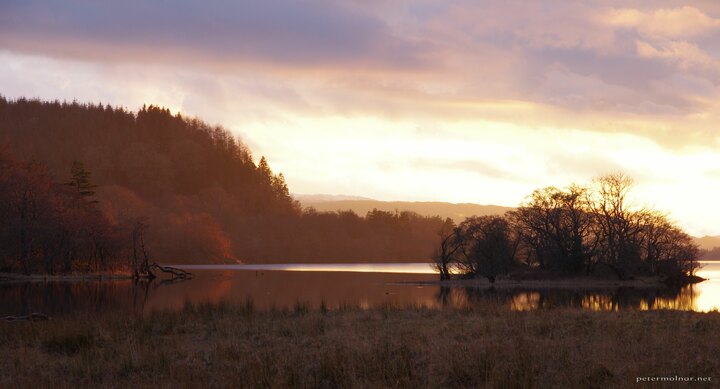 Island on Loch Awe