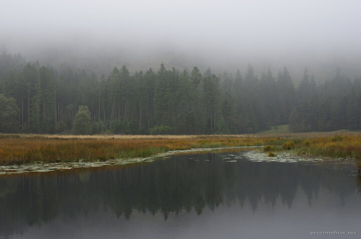 Tarn in mist