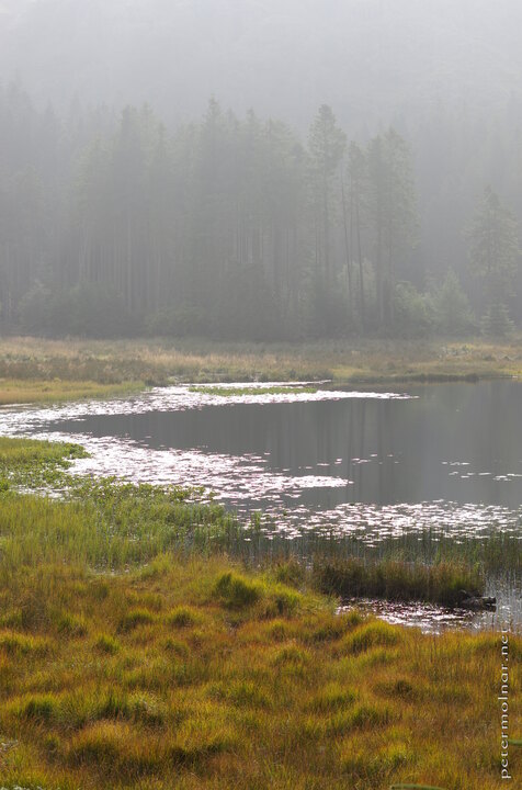 Tarn in sunshine