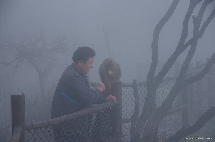 mount_emei_10.jpg A man with a curious monkey at Mount Emei