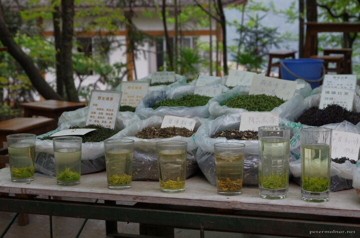 mount_emei_131.jpg ...and tea traders, with types of teas Europeans never heard of
before