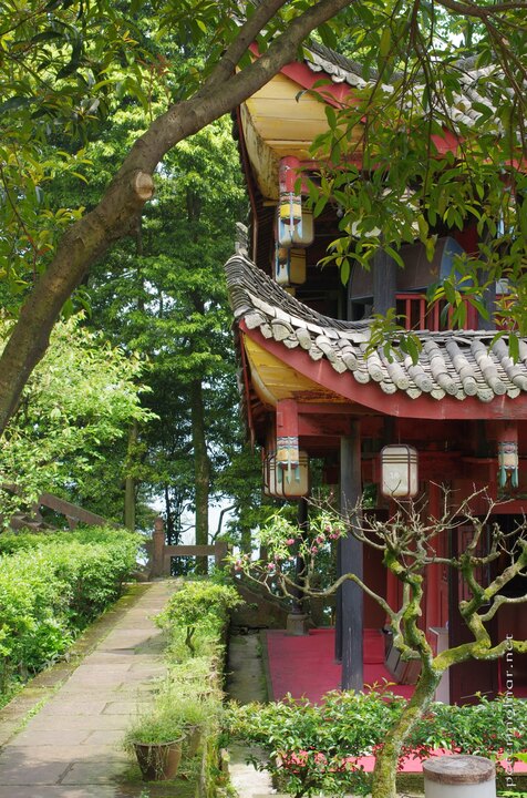 mount_emei_147.jpg Gorgeous gardens and flowers in the Wannian
Temple