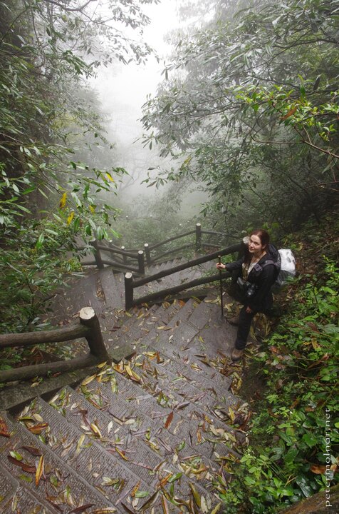 mount_emei_69.jpg The stairs of Emeishan can get rather steep