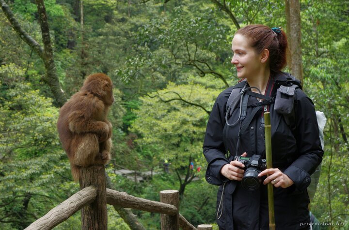 mount_emei_95.jpg You can safely get very close to them - Nora with a
Monkey