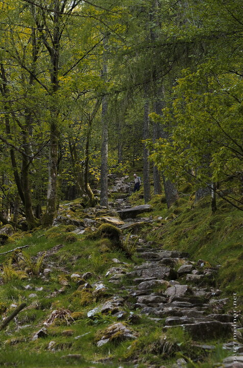 Adventurer in the Lake District