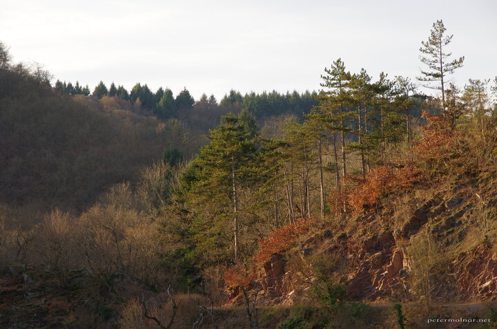 Autumn in February