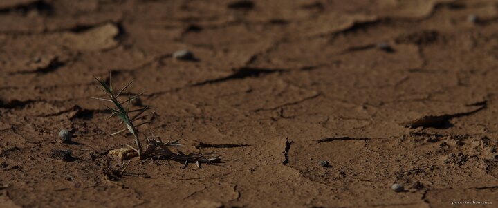 Drought