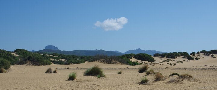 Dune di Piscinas