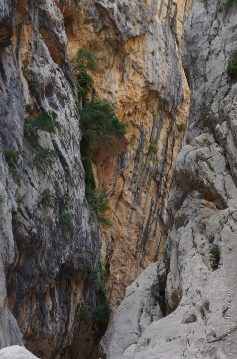 Gorropu Gorge