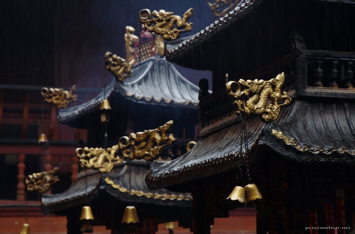 Golden Dragons