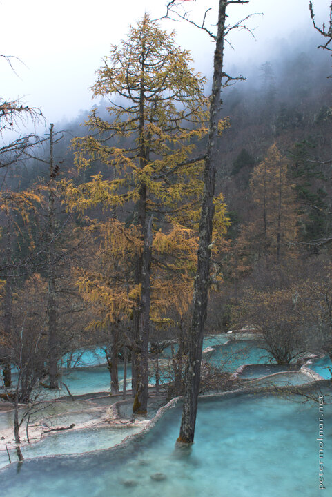 Autumn in Huanglong