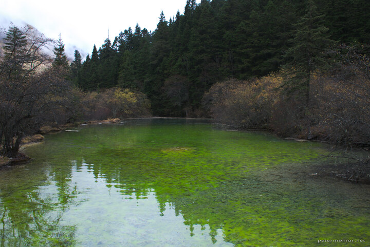 Huanglong: Jade green pond