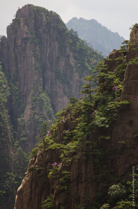 Huangshan scenery 3